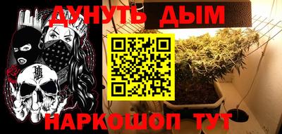 стаф Новозыбков