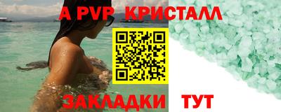 стаф Новозыбков