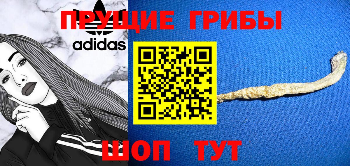 Галлюциногенные грибы GOLDEN TEACHER Полысаево