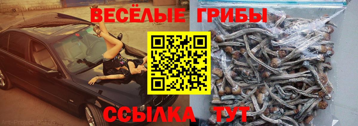 что такое наркотик  Галлюциногенные грибы MAGIC MUSHROOMS  Вход с VPN  Полысаево 